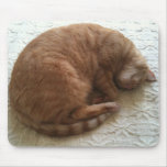 cute cat sleeping mousepad