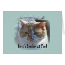 Cute Cat Vignette Greeting Card