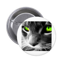 cute cats button