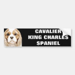 Cute Cavalier King Charles Spaniel Bumper Stickers