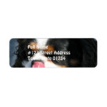 Cute Cavalier King Charles Spaniel Mailing Labels labels