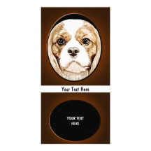 Cute Cavalier King Charles Spaniel Customized Photo Card