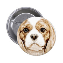Cute Cavalier King Charles Spaniel Pinback Button