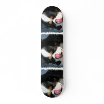 Cute Cavalier King Charles Spaniel Skateboard