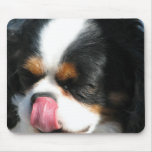 Cute Cavalier Spanial Dog  Mouse Pad