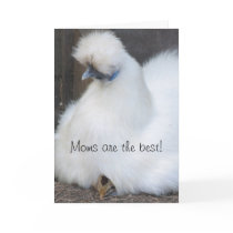 Cute chick "Moms are the best" Mother's Day card