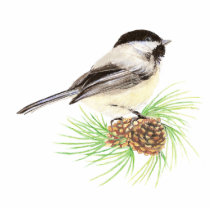 Cute Chickadee Bird, Nature, Wildlife, Animal Cut Out