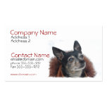 Cute Chihuahua Business Card