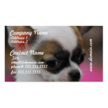 Cute Chihuahua   Business Cards