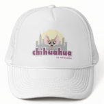 Cute Chihuahua in Manhattan Dog Hat
