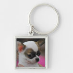 Cute Chihuahua Keychain