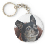 Cute Chihuahua Photos Keychain