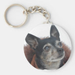Cute Chihuahua Photos Keychain
