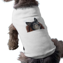 Cute Chihuahua Photos Pet Shirt