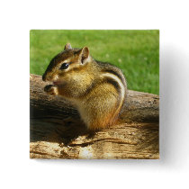 Cute Chipmunk Pin
