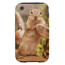 Cute Chipmunk Posing Tough iPhone 3 Cover