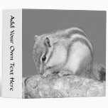 Cute Chipmunk. Vinyl Binder