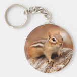 Cute Chipmunk Waiting Keychains