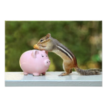 Cute Chipmunk with Funny Money Piggy Bank Picture Photograph
