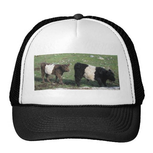 Cute Chocolate & Black Belted Calves Trucker Hat