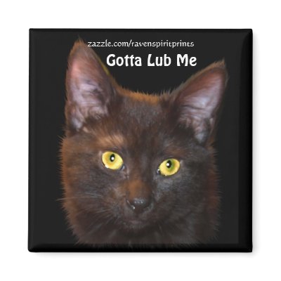Cute Chocolate Black Kitten Art Magnet by RavenSpiritPrints