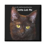 Cute Chocolate Black Kitten Art Magnet