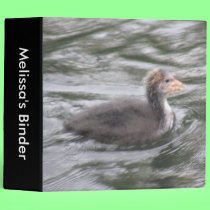 Cute Coot Chick on Choppy Waters Custom Binder binders