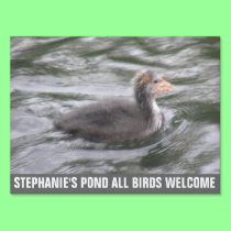 Cute Coot Chick on Choppy Waters Custom Pond Sign yard signs