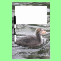 Cute Coot Chick on Choppy Waters Memo Board dry erase boards