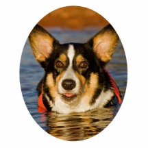Cute Corgi Design Photo Sculptures