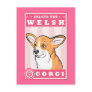 Cute Corgi Postcard