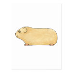 Cute Cream Guinea Pig. Postcards