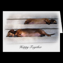 Cute Dachshund Card cards