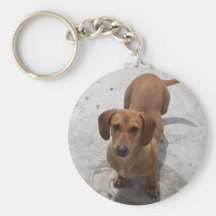 Cute Dachshund Collection Key Chain