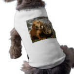 Cute Dachshund Puppies (Brown/Black) Doggie T Shirt