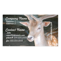 Cute Deer Business Cards