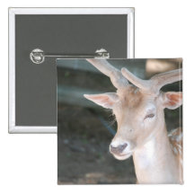 Cute Deer Button