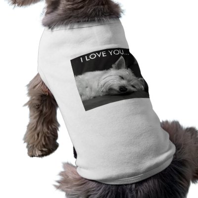Cute Dog Clothes by flowercarole