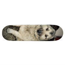 Cute dog custom skateboard