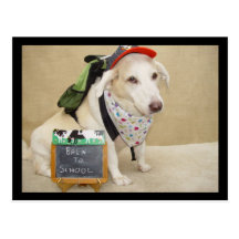 Cute Dog Funny Back to School Post Card
