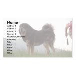 Cute Dog in Grass Business Card Templates