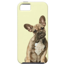 cute dog iphone 5 case