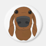 Cute Dog Nose magnets