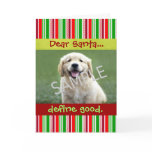 Cute Dog Photo Christmas Greeting Card Stripes