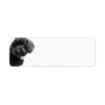 Cute Dog Puppy Black and White l Photography Labels