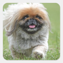 Cute dog sticker