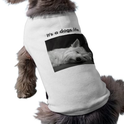Cute Dog T-Shirt by flowercarole