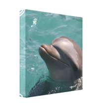 Cute Dolphin Canvas Print