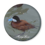 Cute duck in water refrigerator magnet