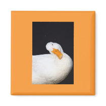 Cute Duck Refrigerator Magnets